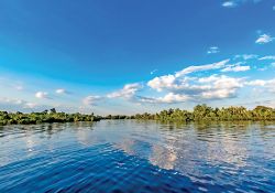 Harbour Heights Lot Near Peace River, Florida!