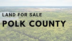 Five Lot Package in Polk County, Florida!