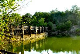 Arkansas Ozarks: Build and Enjoy!