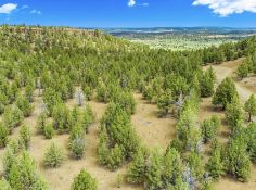 California Dreaming: Build on Over Two Acres!