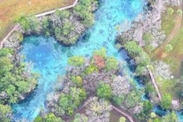 Swim with Manatees in Citrus County, Florida!