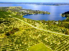 Polk County: Cast a Line in Sunny Florida!