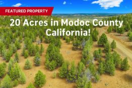 Expansive 20-Acre Parcel in Modoc County, California!