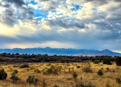 Invest in New Mexico's Growth!