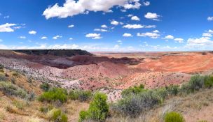 Over an Acre in Scenic Navajo, Arizona!