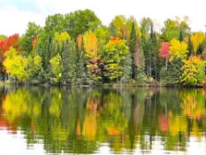 Cheboygan County, Michigan: Lake Access & Autumn Views!