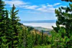 Invest in America: USA Land Auction!