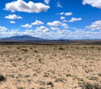 Invest in the Exciting New Developments in New Mexico!