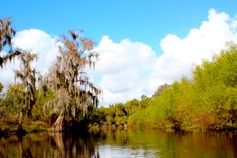 Peaceful Harbour Heights Lot in Charlotte County!