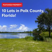 FINANCE PACKAGE: 10 Lots in Polk County, Florida! Your Bid is Your Down Payment!