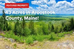 43 Scenic Acres in Aroostook County, Maine!
