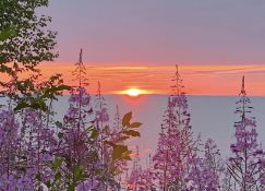 Start Your Adventure in Michigan's Upper Peninsula!