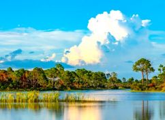 Your Slice of Paradise in Charlotte County, Florida!