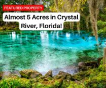 Build on Almost Five Acres in Citrus County, Florida!