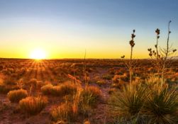 Exciting Developments Unfold in New Mexico!