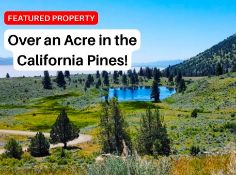 Build in the California Pines!