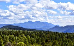 New Mexico Land Near Albuquerque!