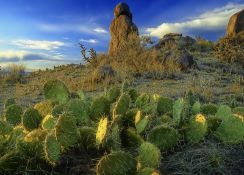 New Mexico Land Near Meta's Expansion!