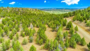 Escape to Serenity - Build in California Pines!