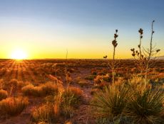 Rio Del Oro Lot in Valencia County, NM!