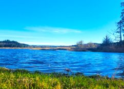 Hidden Gem by the Coast in Washington!