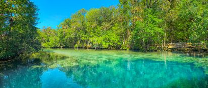 Own Land in Sunny Citrus County, Florida!