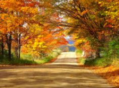 Michigan Autumn Colors Await You Here!