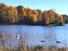 Lake Miramichi Lot in Osceola County, Michigan!