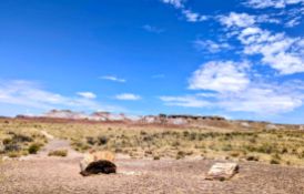 Over an Acre in Scenic Navajo County, Arizona!
