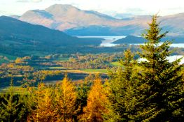 Build Your Dream on 2+ Acres in California!