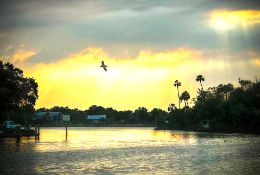 Own Florida Land in this Charming Community!