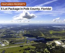 Prime Investment: 5-Lot Bundle in Polk County, FL!