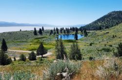 USA Land: The Ultimate Safe Haven!