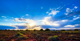 Capitalize on the Growth of New Mexico!