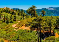 California Dreaming in Los Angeles County!