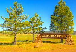 Over One Acre to Build Your California Dream!