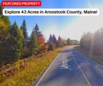 Explore 43 Acres in Aroostook County, Maine!