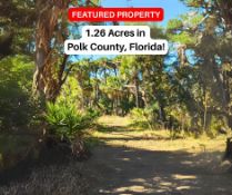 1.26 Acres in Polk County, Florida!