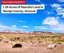 1.26 Acres of Peaceful Land in Navajo County, Arizona!