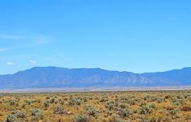 Capitalize on the Growth in New Mexico!