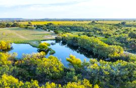 Coleman County, Texas: Vacant Lot in the Lone Star State!