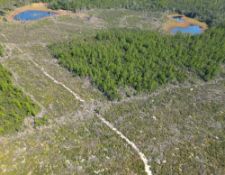 FINANCE 10 Lots in Polk County, Florida! Your Bid is Your Down Payment!