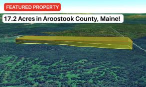 17.2 Acres of Tranquil Woodlands in Grand Isle, Maine!