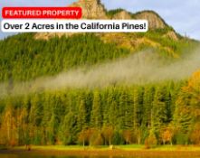 Over 2 Acres in California Pines!