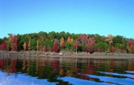 Buildable Lot Near Spring Lake in Ozark Acres, Arkansas!