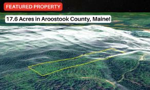 Your 17.6-Acre Woodland Retreat in Grand Isle, Maine!