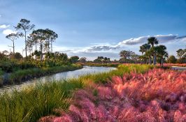 Become A Floridian: Land in Charlotte County!