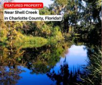 Near Shell Creek in Charlotte County, Florida!