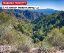 5.45 Acres in California Pines!