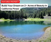 2+ Acres of Beauty in California Pines!